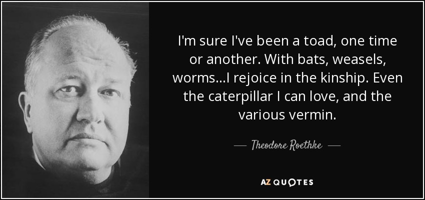 I'm sure I've been a toad, one time or another. With bats, weasels, worms...I rejoice in the kinship. Even the caterpillar I can love, and the various vermin. - Theodore Roethke