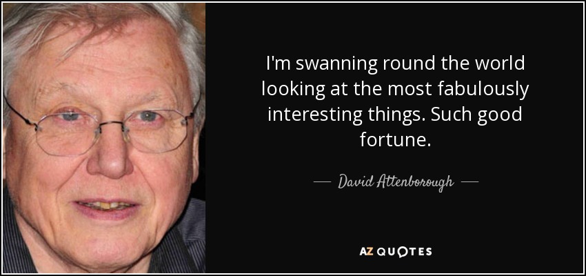 I'm swanning round the world looking at the most fabulously interesting things. Such good fortune. - David Attenborough