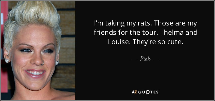 I'm taking my rats. Those are my friends for the tour. Thelma and Louise. They're so cute. - Pink