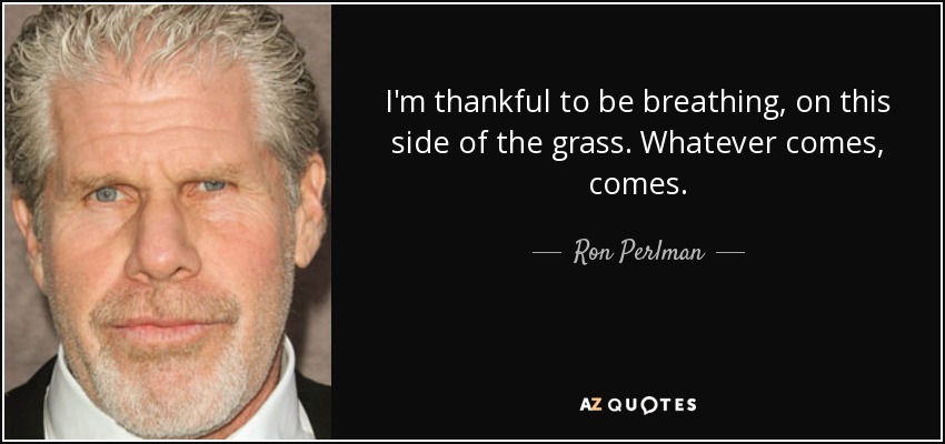 I'm thankful to be breathing, on this side of the grass. Whatever comes, comes. - Ron Perlman