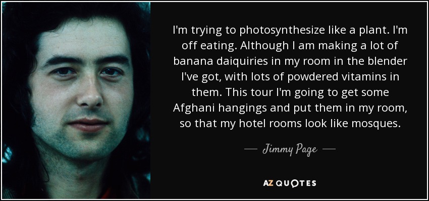 I'm trying to photosynthesize like a plant. I'm off eating. Although I am making a lot of banana daiquiries in my room in the blender I've got, with lots of powdered vitamins in them. This tour I'm going to get some Afghani hangings and put them in my room, so that my hotel rooms look like mosques. - Jimmy Page