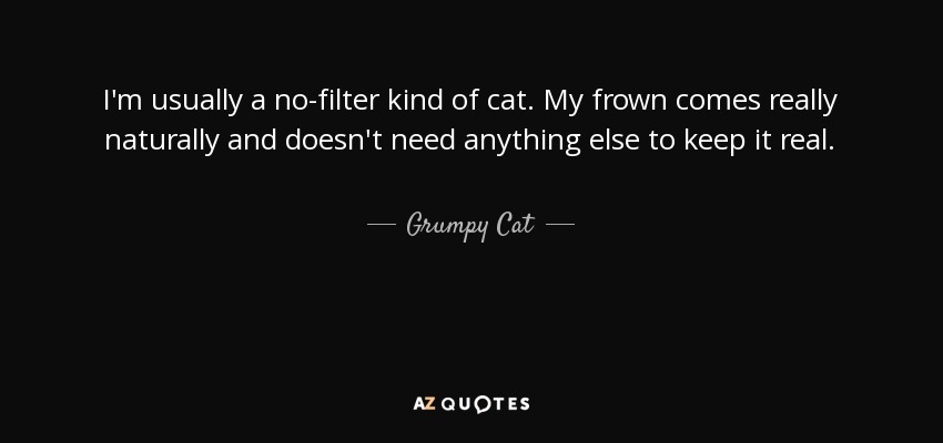 I'm usually a no-filter kind of cat. My frown comes really naturally and doesn't need anything else to keep it real. - Grumpy Cat
