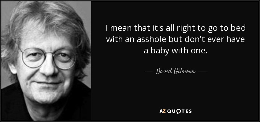 I mean that it's all right to go to bed with an asshole but don't ever have a baby with one. - David Gilmour