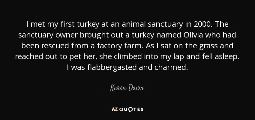 I met my first turkey at an animal sanctuary in 2000. The sanctuary owner brought out a turkey named Olivia who had been rescued from a factory farm. As I sat on the grass and reached out to pet her, she climbed into my lap and fell asleep. I was flabbergasted and charmed. - Karen Dawn