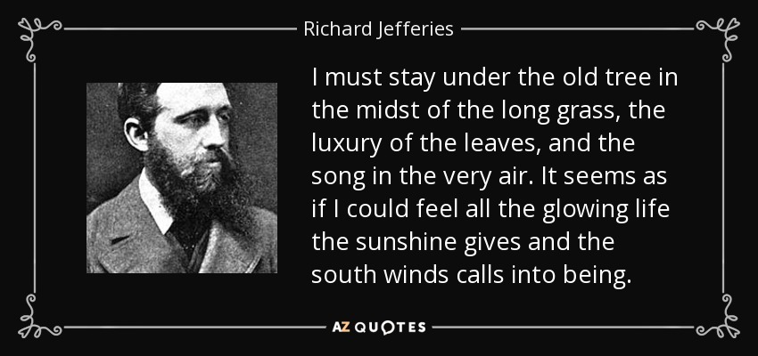 I must stay under the old tree in the midst of the long grass, the luxury of the leaves, and the song in the very air. It seems as if I could feel all the glowing life the sunshine gives and the south winds calls into being. - Richard Jefferies