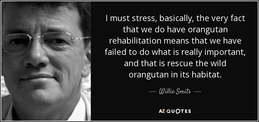 I must stress, basically, the very fact that we do have orangutan rehabilitation means that we have failed to do what is really important, and that is rescue the wild orangutan in its habitat. - Willie Smits