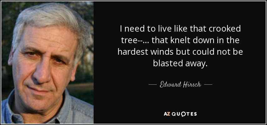 I need to live like that crooked tree--... that knelt down in the hardest winds but could not be blasted away. - Edward Hirsch