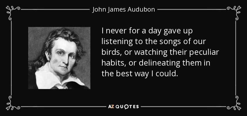 I never for a day gave up listening to the songs of our birds, or watching their peculiar habits, or delineating them in the best way I could. - John James Audubon