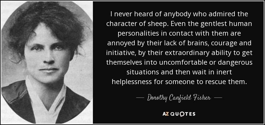 I never heard of anybody who admired the character of sheep. Even the gentlest human personalities in contact with them are annoyed by their lack of brains, courage and initiative, by their extraordinary ability to get themselves into uncomfortable or dangerous situations and then wait in inert helplessness for someone to rescue them. - Dorothy Canfield Fisher
