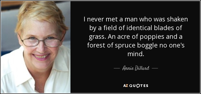 I never met a man who was shaken by a field of identical blades of grass. An acre of poppies and a forest of spruce boggle no one's mind. - Annie Dillard