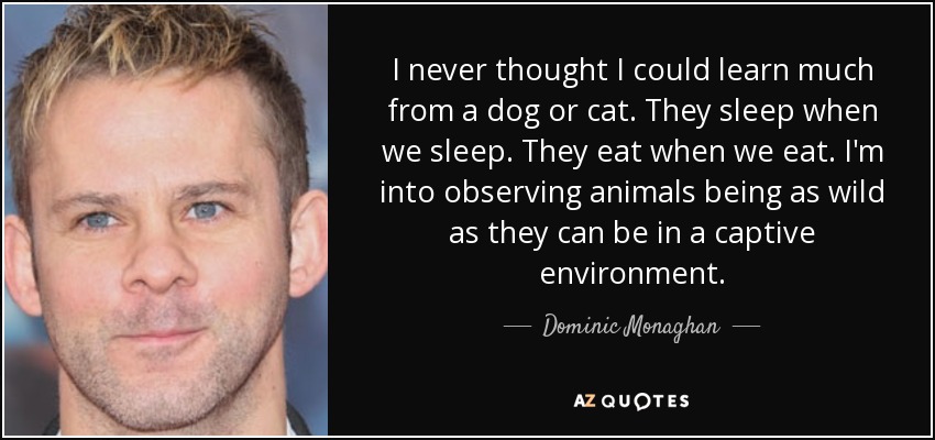 I never thought I could learn much from a dog or cat. They sleep when we sleep. They eat when we eat. I'm into observing animals being as wild as they can be in a captive environment. - Dominic Monaghan