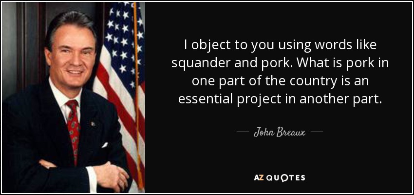 I object to you using words like squander and pork. What is pork in one part of the country is an essential project in another part. - John Breaux