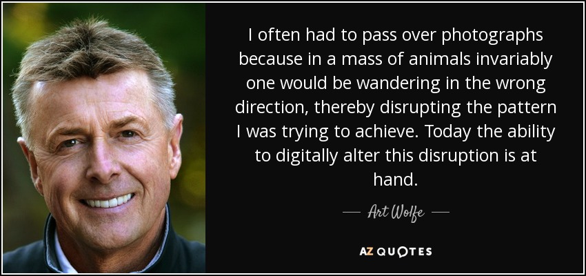I often had to pass over photographs because in a mass of animals invariably one would be wandering in the wrong direction, thereby disrupting the pattern I was trying to achieve. Today the ability to digitally alter this disruption is at hand. - Art Wolfe