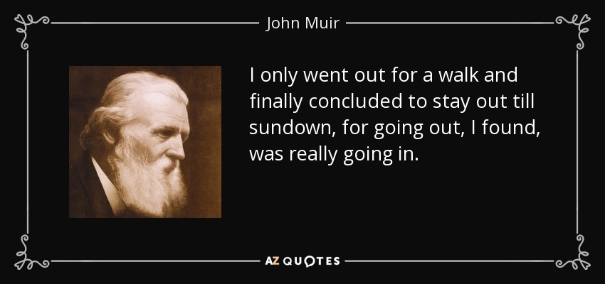 I only went out for a walk and finally concluded to stay out till sundown, for going out, I found, was really going in. - John Muir