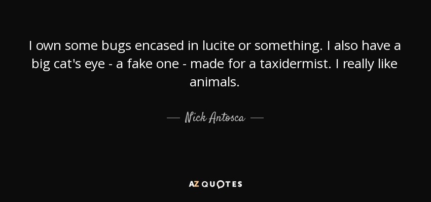 I own some bugs encased in lucite or something. I also have a big cat's eye - a fake one - made for a taxidermist. I really like animals. - Nick Antosca