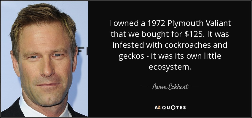 I owned a 1972 Plymouth Valiant that we bought for $125. It was infested with cockroaches and geckos - it was its own little ecosystem. - Aaron Eckhart