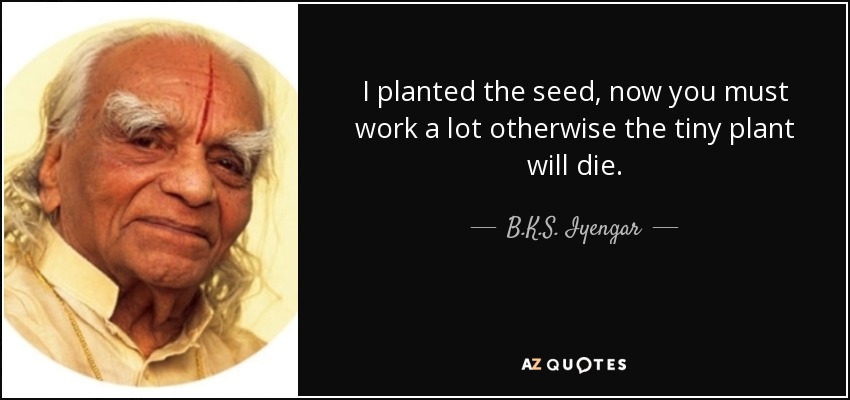 I planted the seed, now you must work a lot otherwise the tiny plant will die. - B.K.S. Iyengar