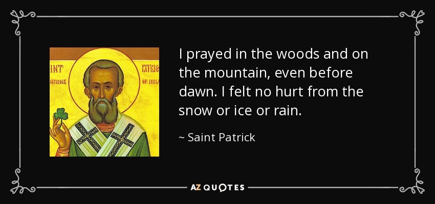 I prayed in the woods and on the mountain, even before dawn. I felt no hurt from the snow or ice or rain. - Saint Patrick