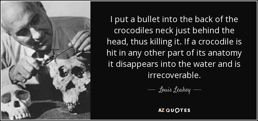 I put a bullet into the back of the crocodiles neck just behind the head, thus killing it. If a crocodile is hit in any other part of its anatomy it disappears into the water and is irrecoverable. - Louis Leakey