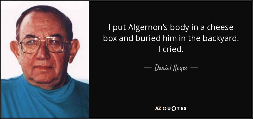 I put Algernon's body in a cheese box and buried him in the backyard. I cried. - Daniel Keyes