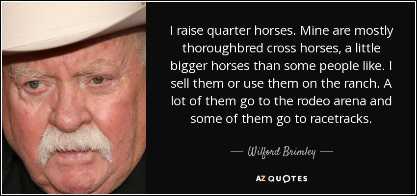 I raise quarter horses. Mine are mostly thoroughbred cross horses, a little bigger horses than some people like. I sell them or use them on the ranch. A lot of them go to the rodeo arena and some of them go to racetracks. - Wilford Brimley