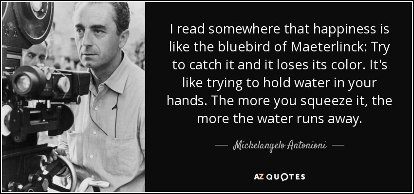 I read somewhere that happiness is like the bluebird of Maeterlinck: Try to catch it and it loses its color. It's like trying to hold water in your hands. The more you squeeze it, the more the water runs away. - Michelangelo Antonioni