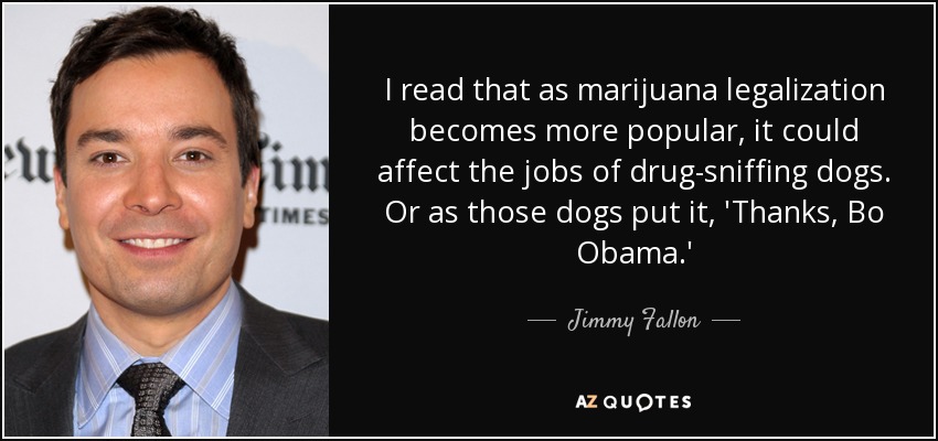 I read that as marijuana legalization becomes more popular, it could affect the jobs of drug-sniffing dogs. Or as those dogs put it, 'Thanks, Bo Obama.' - Jimmy Fallon