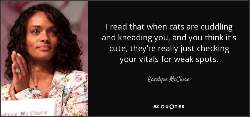 I read that when cats are cuddling and kneading you, and you think it's cute, they're really just checking your vitals for weak spots. - Kandyse McClure