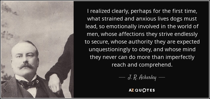 I realized clearly, perhaps for the first time, what strained and anxious lives dogs must lead, so emotionally involved in the world of men, whose affections they strive endlessly to secure, whose authority they are expected unquestioningly to obey, and whose mind they never can do more than imperfectly reach and comprehend. - J. R. Ackerley