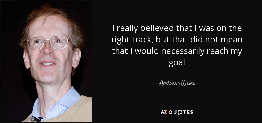 I really believed that I was on the right track, but that did not mean that I would necessarily reach my goal - Andrew Wiles