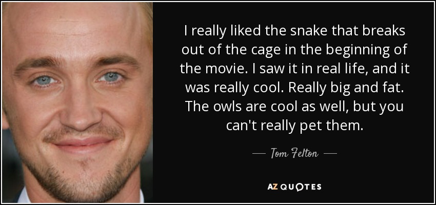 I really liked the snake that breaks out of the cage in the beginning of the movie. I saw it in real life, and it was really cool. Really big and fat. The owls are cool as well, but you can't really pet them. - Tom Felton
