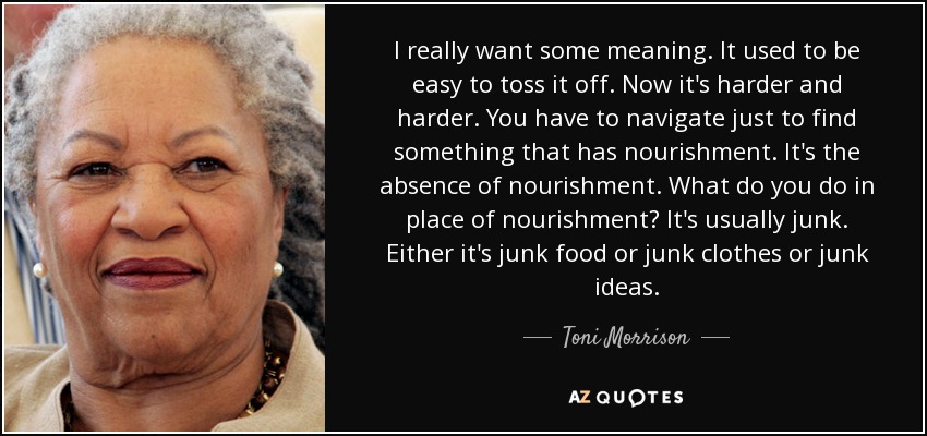I really want some meaning. It used to be easy to toss it off. Now it's harder and harder. You have to navigate just to find something that has nourishment. It's the absence of nourishment. What do you do in place of nourishment? It's usually junk. Either it's junk food or junk clothes or junk ideas. - Toni Morrison
