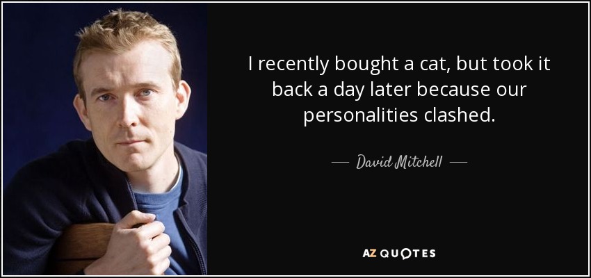 I recently bought a cat, but took it back a day later because our personalities clashed. - David Mitchell