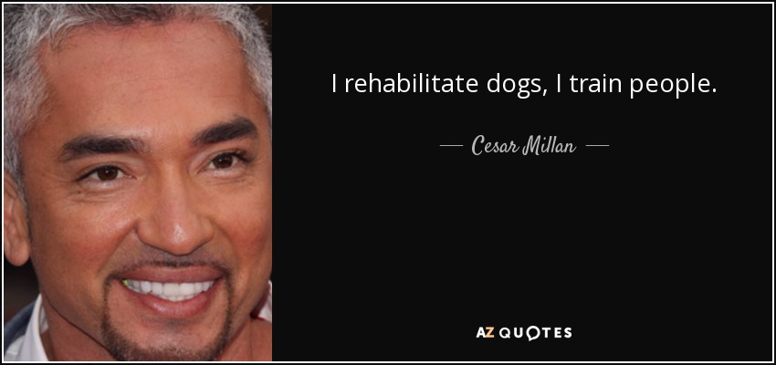 I rehabilitate dogs, I train people. - Cesar Millan
