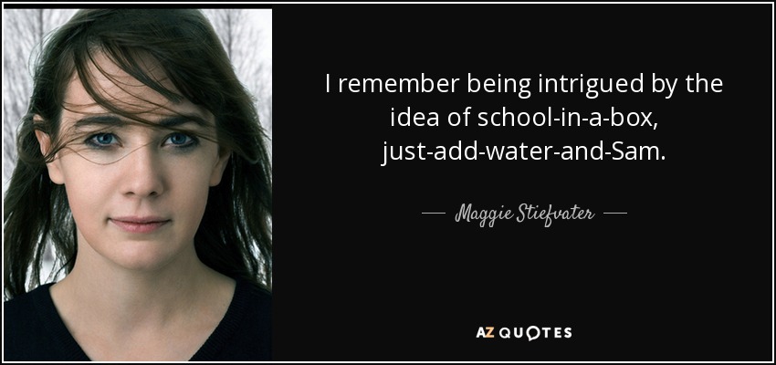 I remember being intrigued by the idea of school-in-a-box, just-add-water-and-Sam. - Maggie Stiefvater