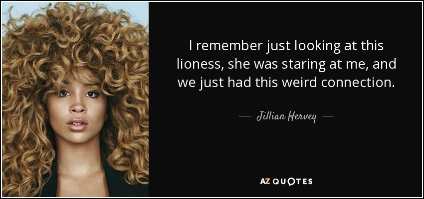 I remember just looking at this lioness, she was staring at me, and we just had this weird connection. - Jillian Hervey