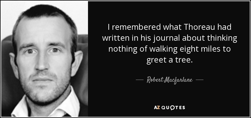 I remembered what Thoreau had written in his journal about thinking nothing of walking eight miles to greet a tree. - Robert Macfarlane