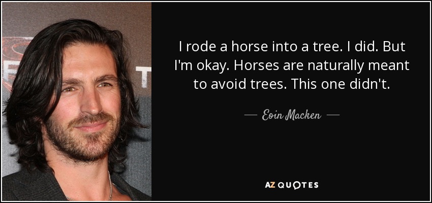 I rode a horse into a tree. I did. But I'm okay. Horses are naturally meant to avoid trees. This one didn't. - Eoin Macken