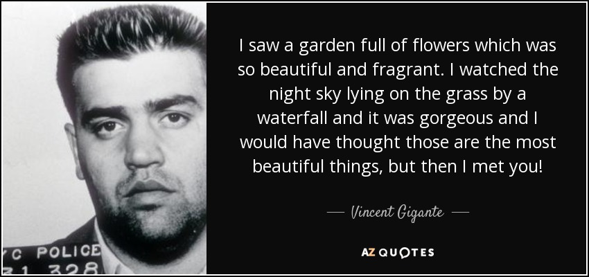 I saw a garden full of flowers which was so beautiful and fragrant. I watched the night sky lying on the grass by a waterfall and it was gorgeous and I would have thought those are the most beautiful things, but then I met you! - Vincent Gigante
