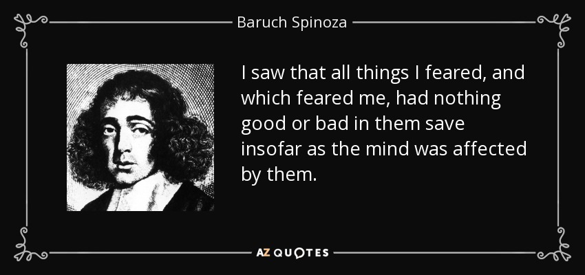 I saw that all things I feared, and which feared me, had nothing good or bad in them save insofar as the mind was affected by them. - Baruch Spinoza