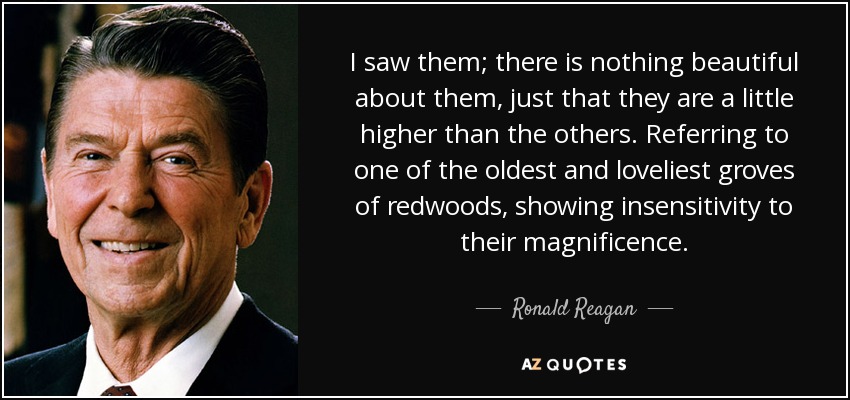I saw them; there is nothing beautiful about them, just that they are a little higher than the others. Referring to one of the oldest and loveliest groves of redwoods, showing insensitivity to their magnificence. - Ronald Reagan