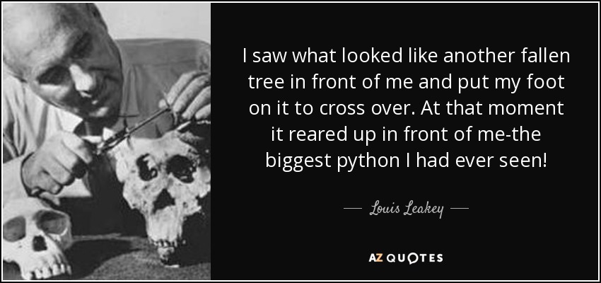 I saw what looked like another fallen tree in front of me and put my foot on it to cross over. At that moment it reared up in front of me-the biggest python I had ever seen! - Louis Leakey