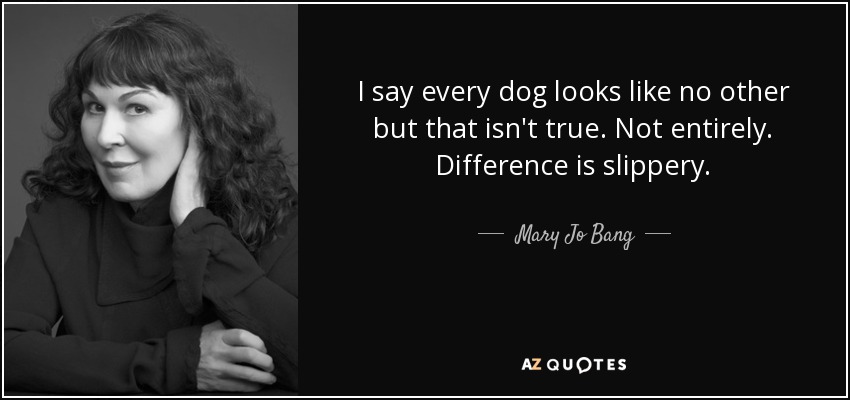 I say every dog looks like no other but that isn't true. Not entirely. Difference is slippery. - Mary Jo Bang