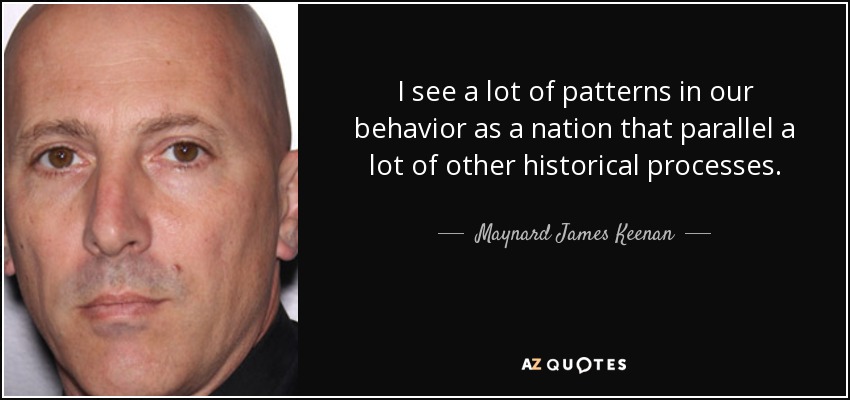 I see a lot of patterns in our behavior as a nation that parallel a lot of other historical processes. - Maynard James Keenan
