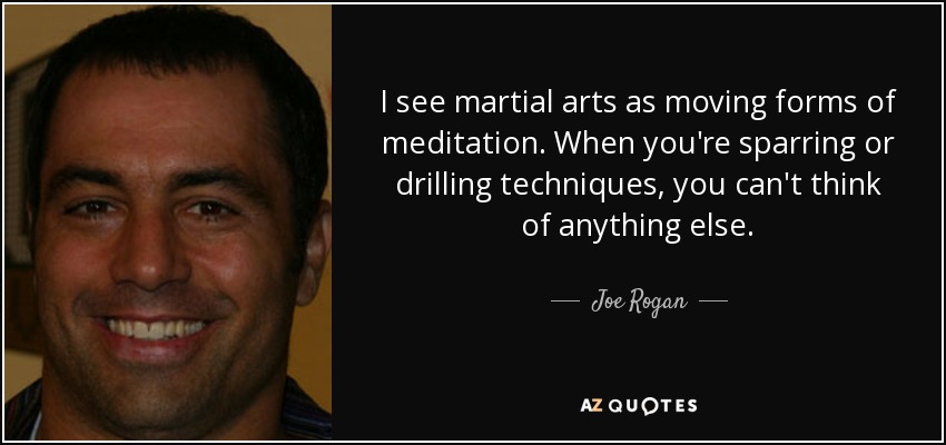 I see martial arts as moving forms of meditation. When you're sparring or drilling techniques, you can't think of anything else. - Joe Rogan