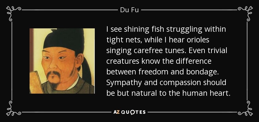 I see shining fish struggling within tight nets, while I hear orioles singing carefree tunes. Even trivial creatures know the difference between freedom and bondage. Sympathy and compassion should be but natural to the human heart. - Du Fu