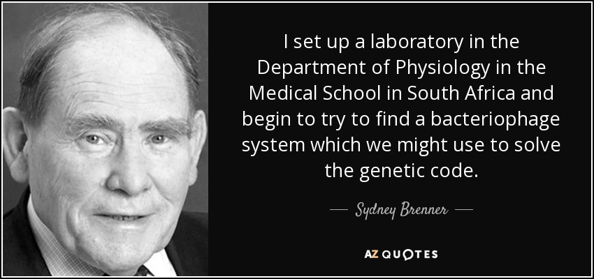 I set up a laboratory in the Department of Physiology in the Medical School in South Africa and begin to try to find a bacteriophage system which we might use to solve the genetic code. - Sydney Brenner