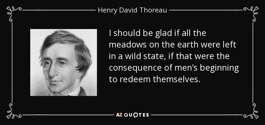 I should be glad if all the meadows on the earth were left in a wild state, if that were the consequence of men's beginning to redeem themselves. - Henry David Thoreau