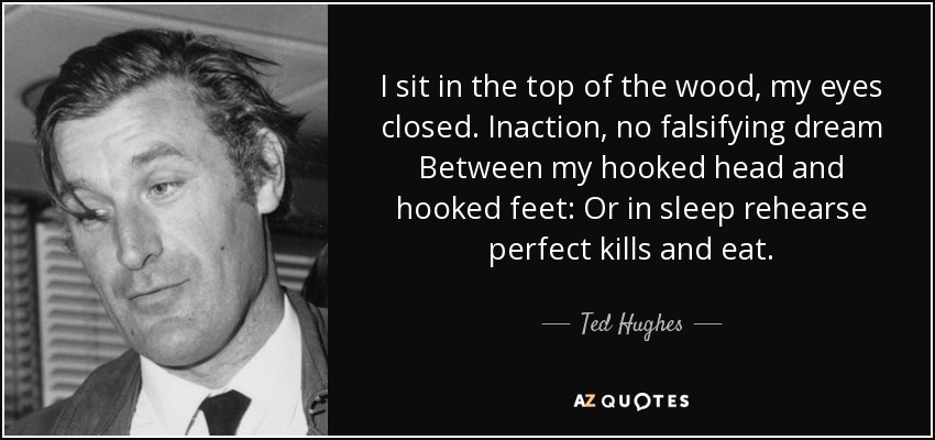 I sit in the top of the wood, my eyes closed. Inaction, no falsifying dream Between my hooked head and hooked feet: Or in sleep rehearse perfect kills and eat. - Ted Hughes