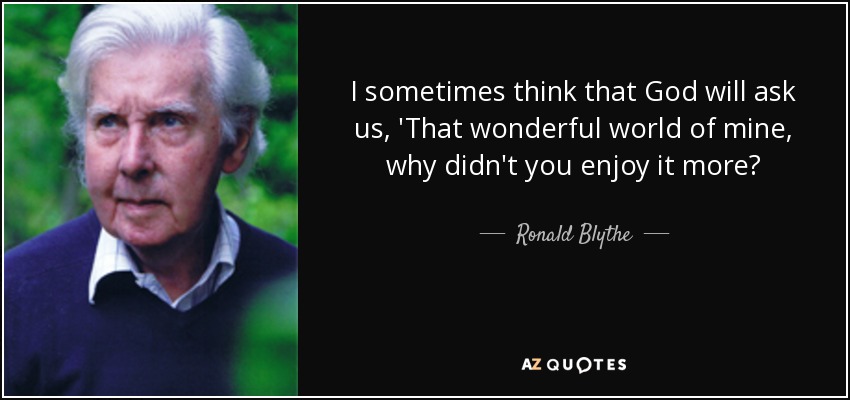 I sometimes think that God will ask us, 'That wonderful world of mine, why didn't you enjoy it more? - Ronald Blythe